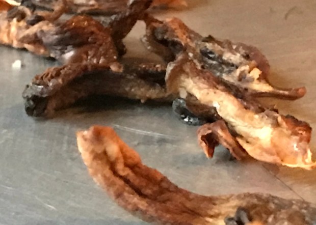 6BEFA22C-327B-4AA1-8D9E-356025676019